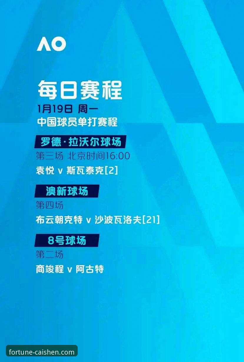 裁判风波与国家队未来：意大利足球迷在财神棋牌官网的深度评测体验